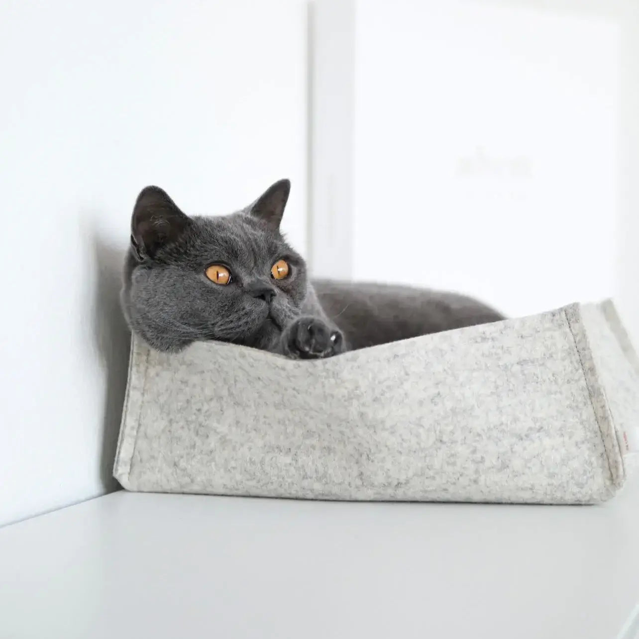 cozy cat beds