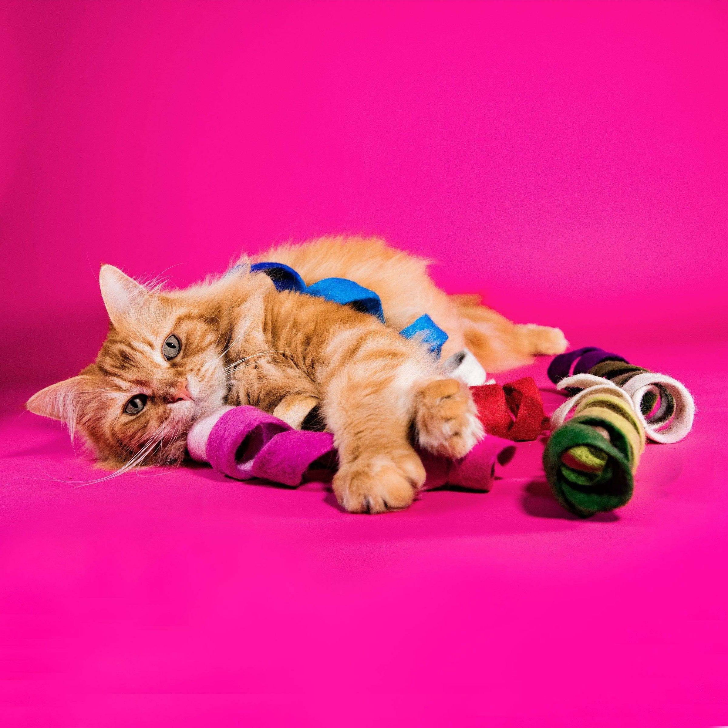 High Quality, Cozy and Cute Cat Toys