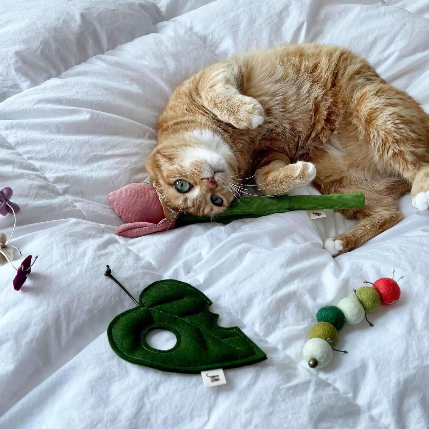 Cute Cat Toys, Cat Wands and Cat Teasers for your Cat