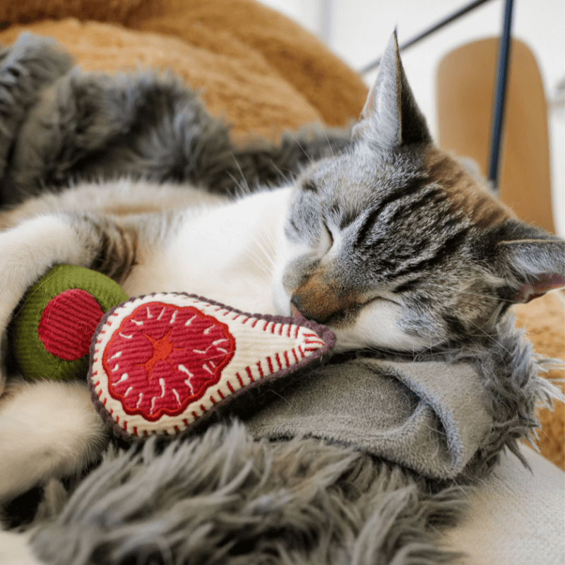 A cat peacefully sleeping with fig and olive plush toys, perfect for playful kitty cocktail parties.