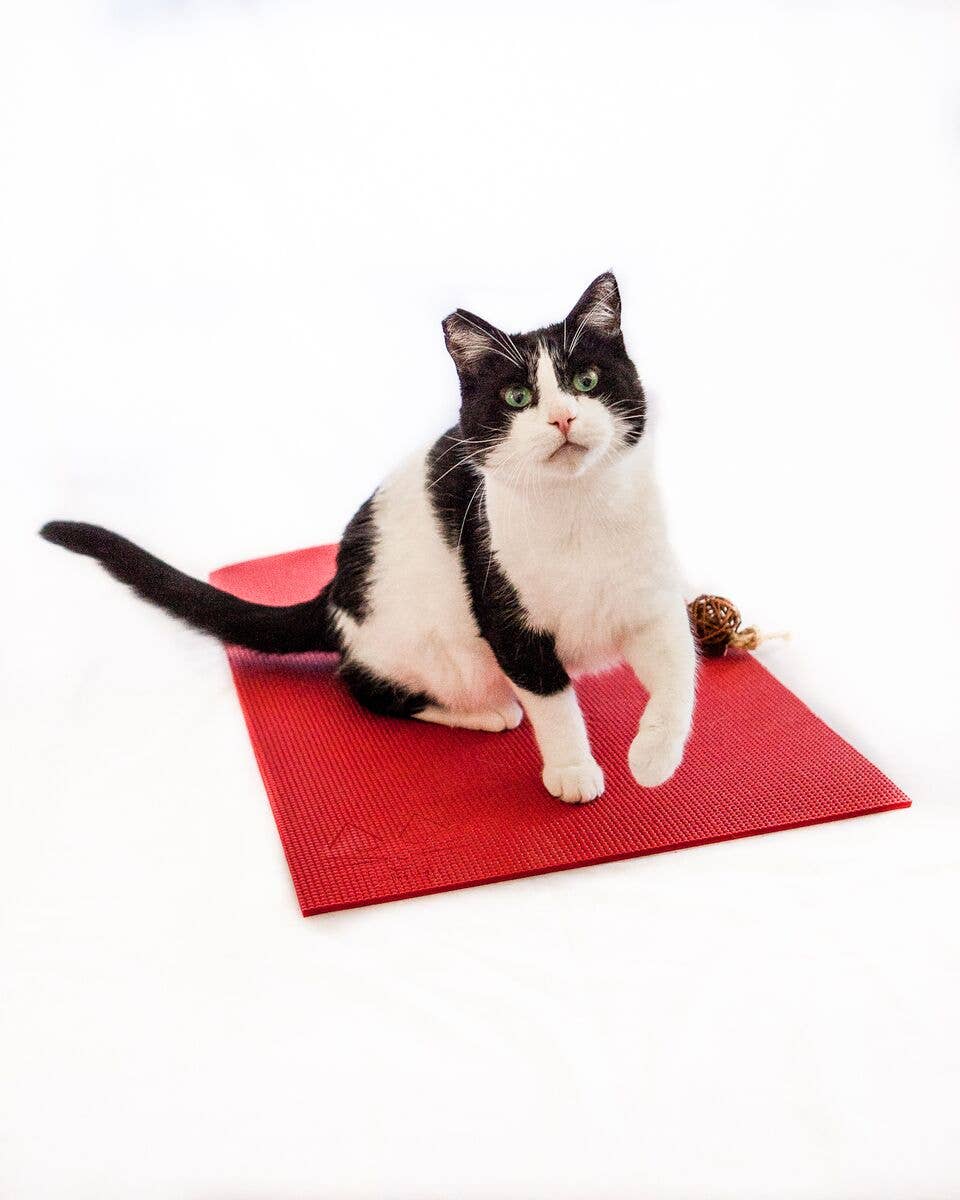 Red Yoga Cat Mat
