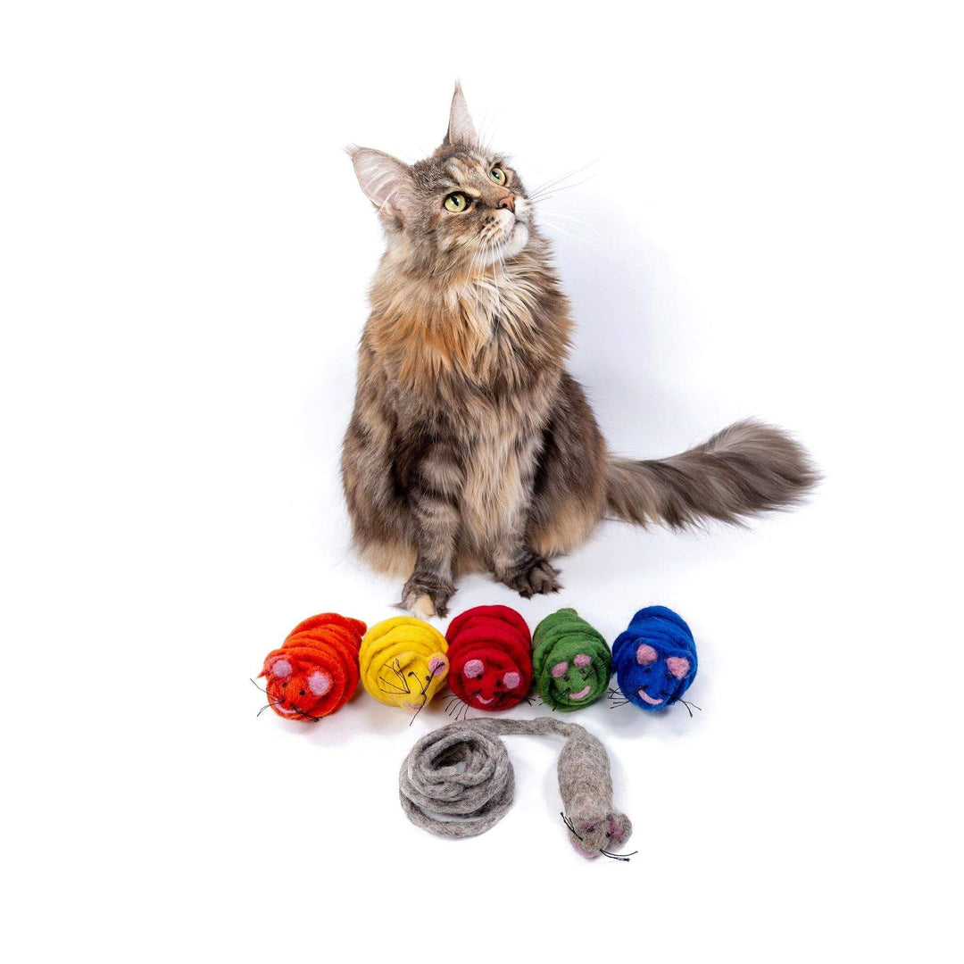 Maine Coon cat with colorful felt mouse toys, showcasing vibrant colors for interactive playtime.