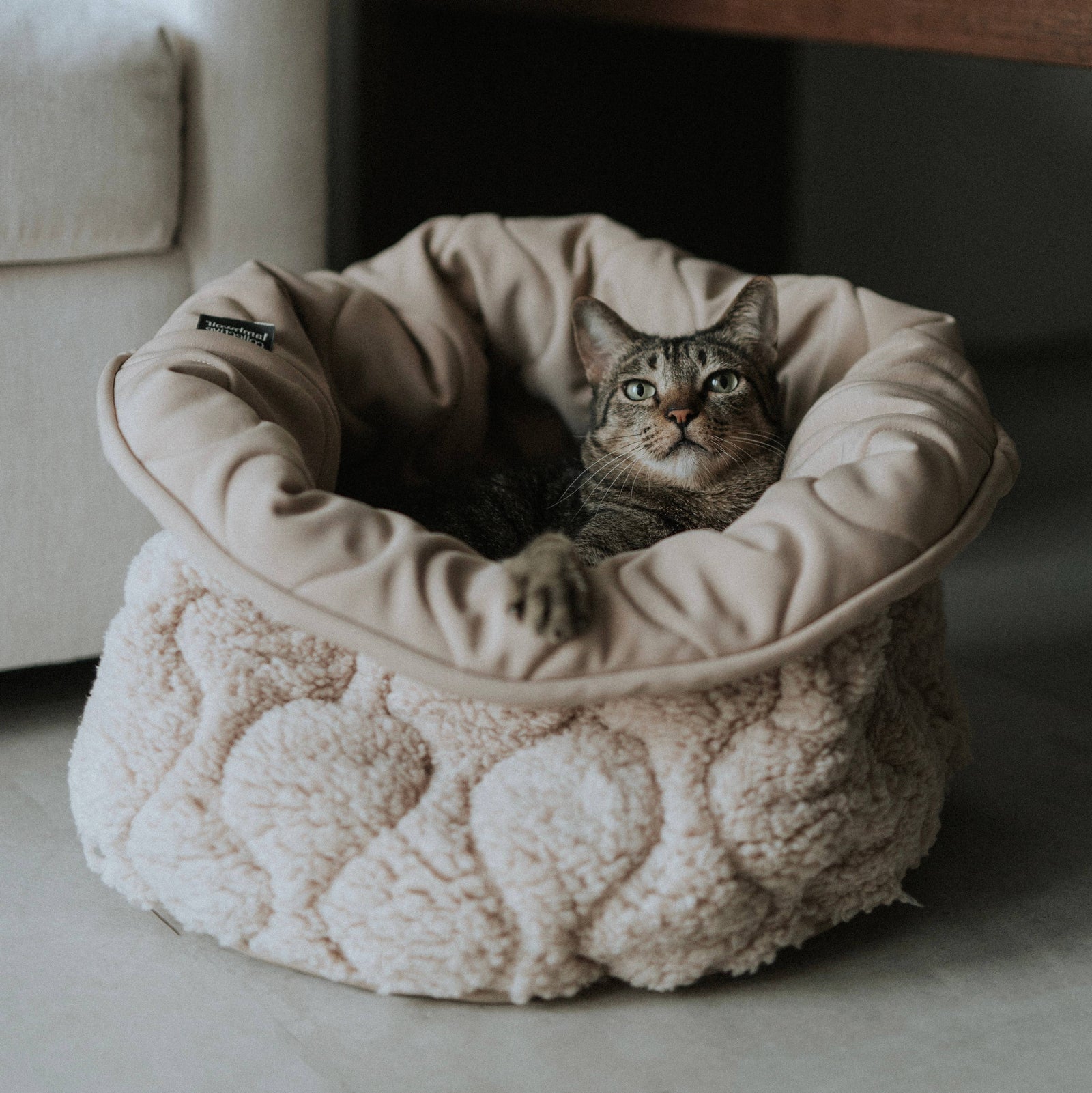 Cozy Quilted Cat Bed