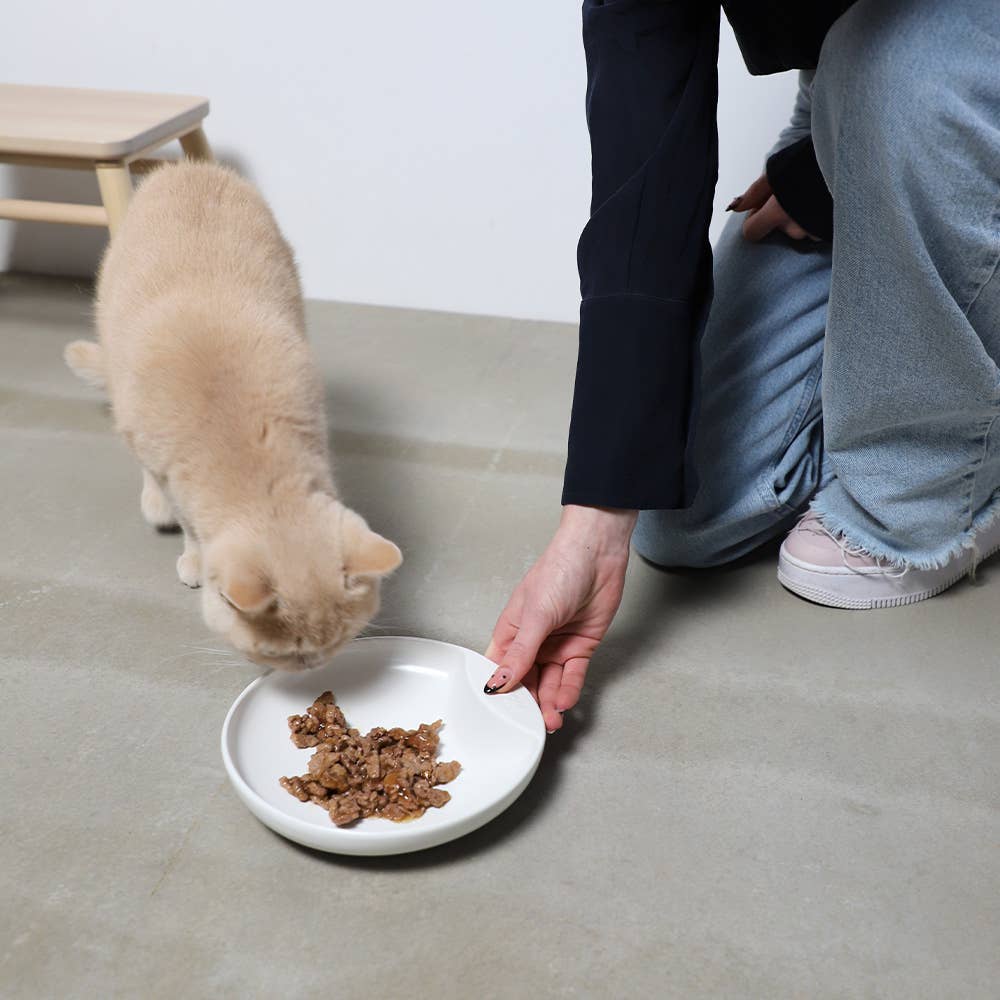 Person placing grey cat plate bowl with food on the floor for a beige cat to eat