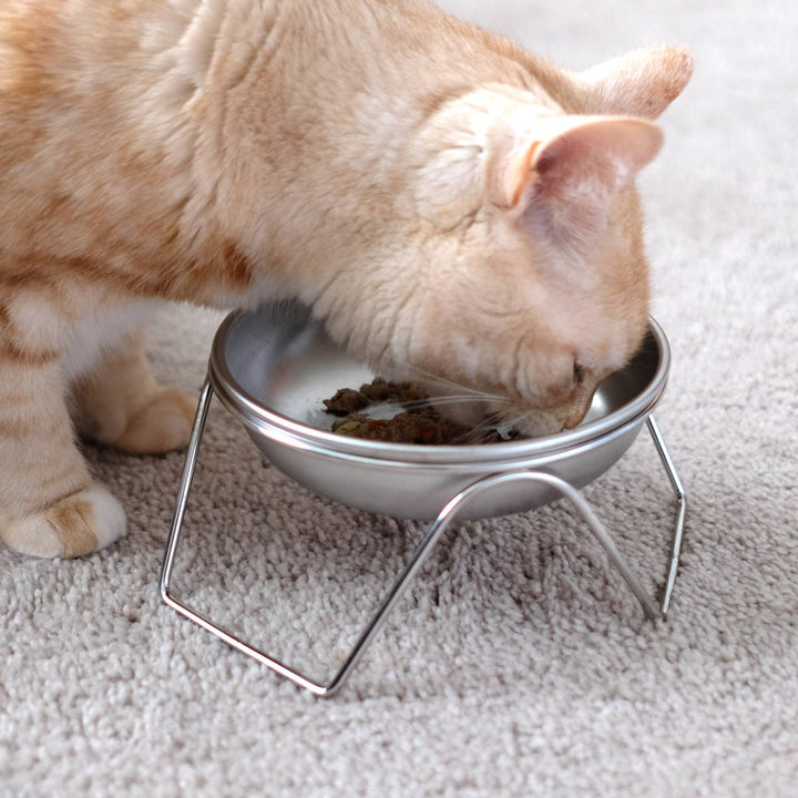 Stainless Steel Raised Cat Bowl &amp; Stand
