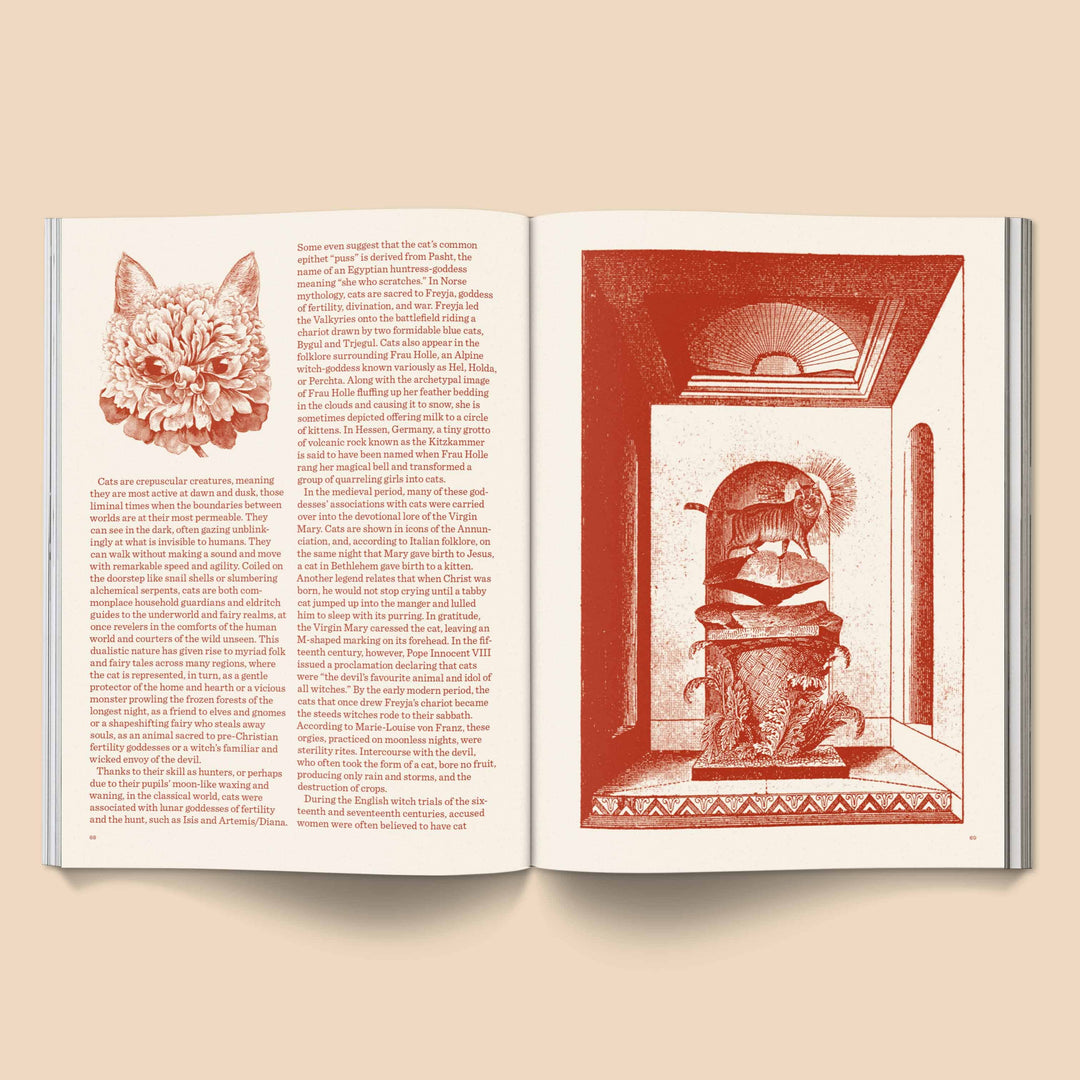 Catnip Magazine open pages featuring cat illustration and detailed text on cat culture