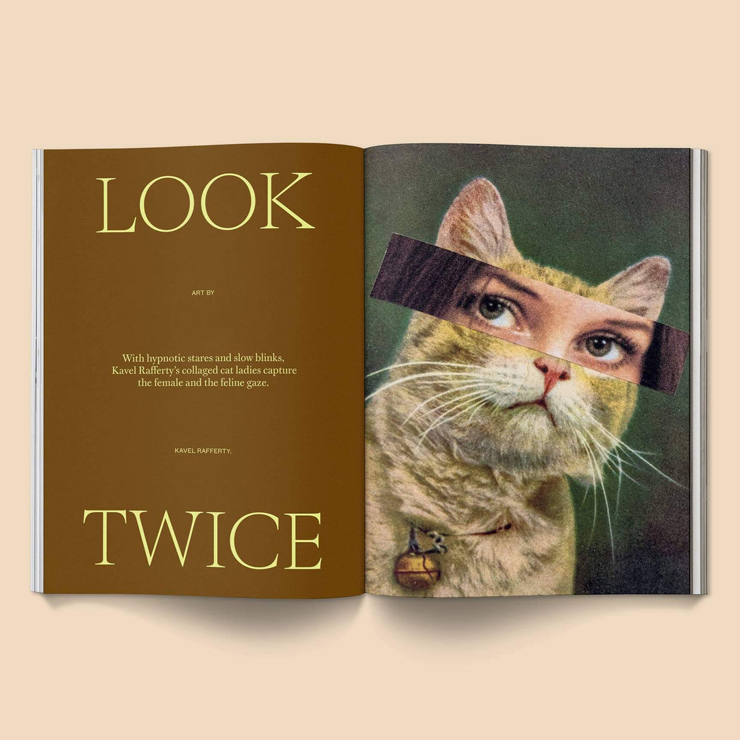 Catnip Magazine: Volume 2 layout featuring a cat with artistic elements focused on feline beauty and creativity.