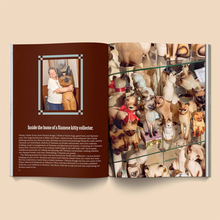 Inside the Catnip Magazine: Volume 2, showcasing a Siamese kitty collector&