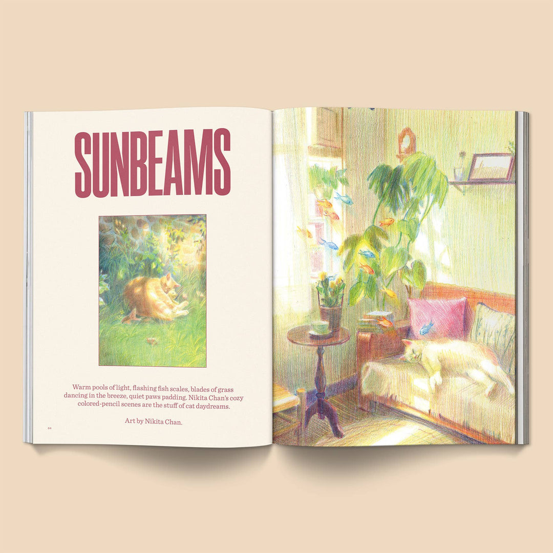 Catnip Magazine: Volume 2 spread showcasing sunbeams and artwork featuring cats lounging.