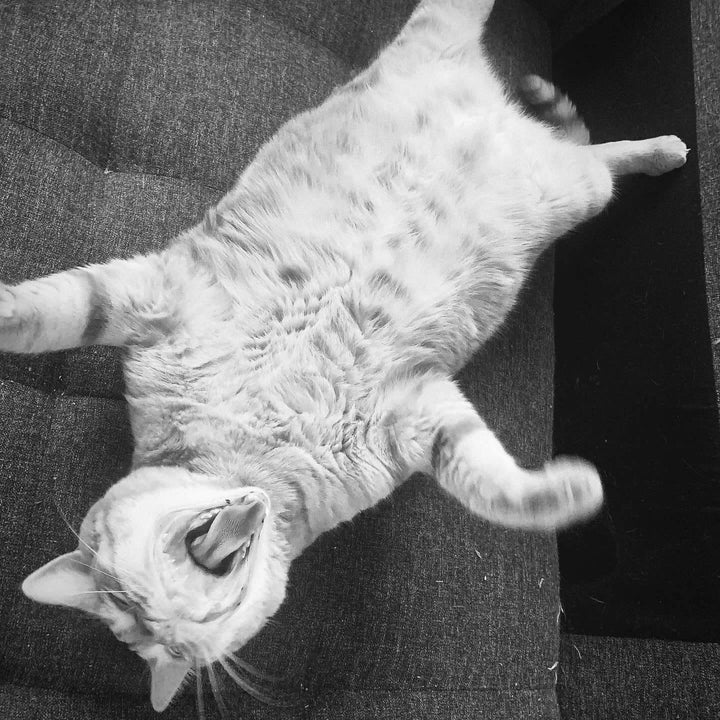 Granny Gertrude Organic Catnip Cat Kicker 