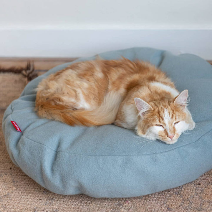 Ginger cat sleeping on a soft, round blue donut cat bed.