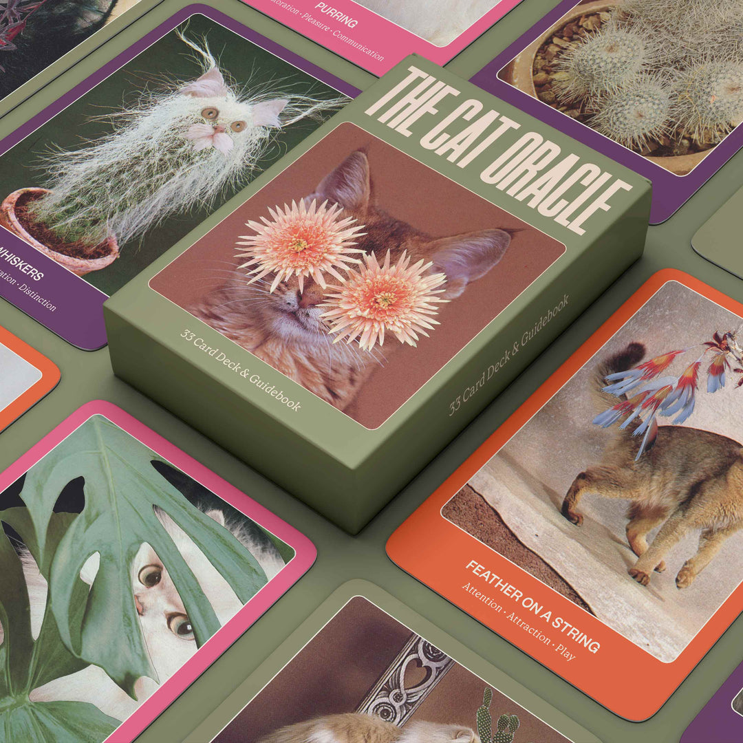 The Cat Oracle 33 card deck and guidebook for animal oracle cards on a table with various cat-themed cards.