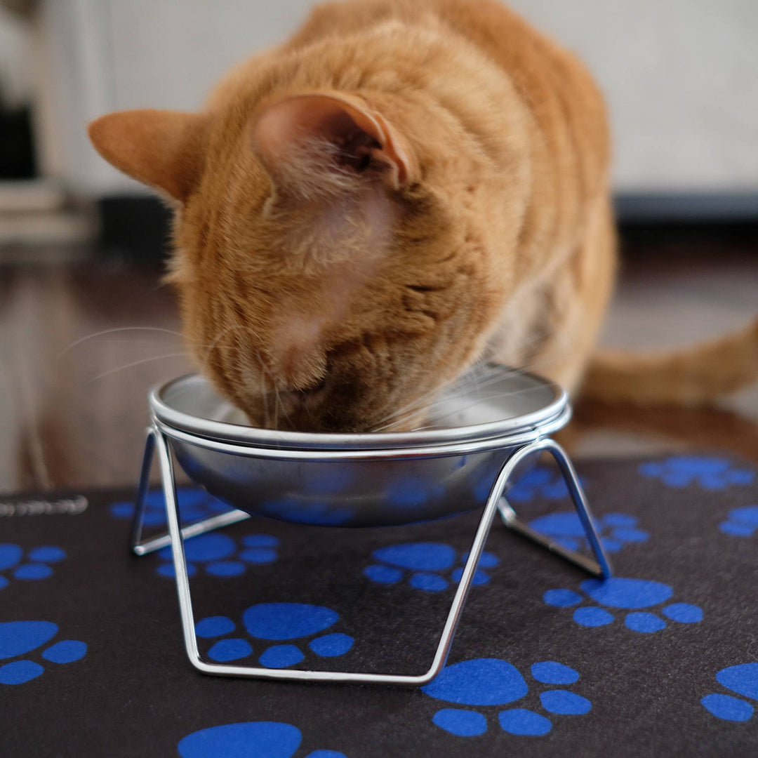 Stainless Steel Raised Cat Bowl &amp; Stand
