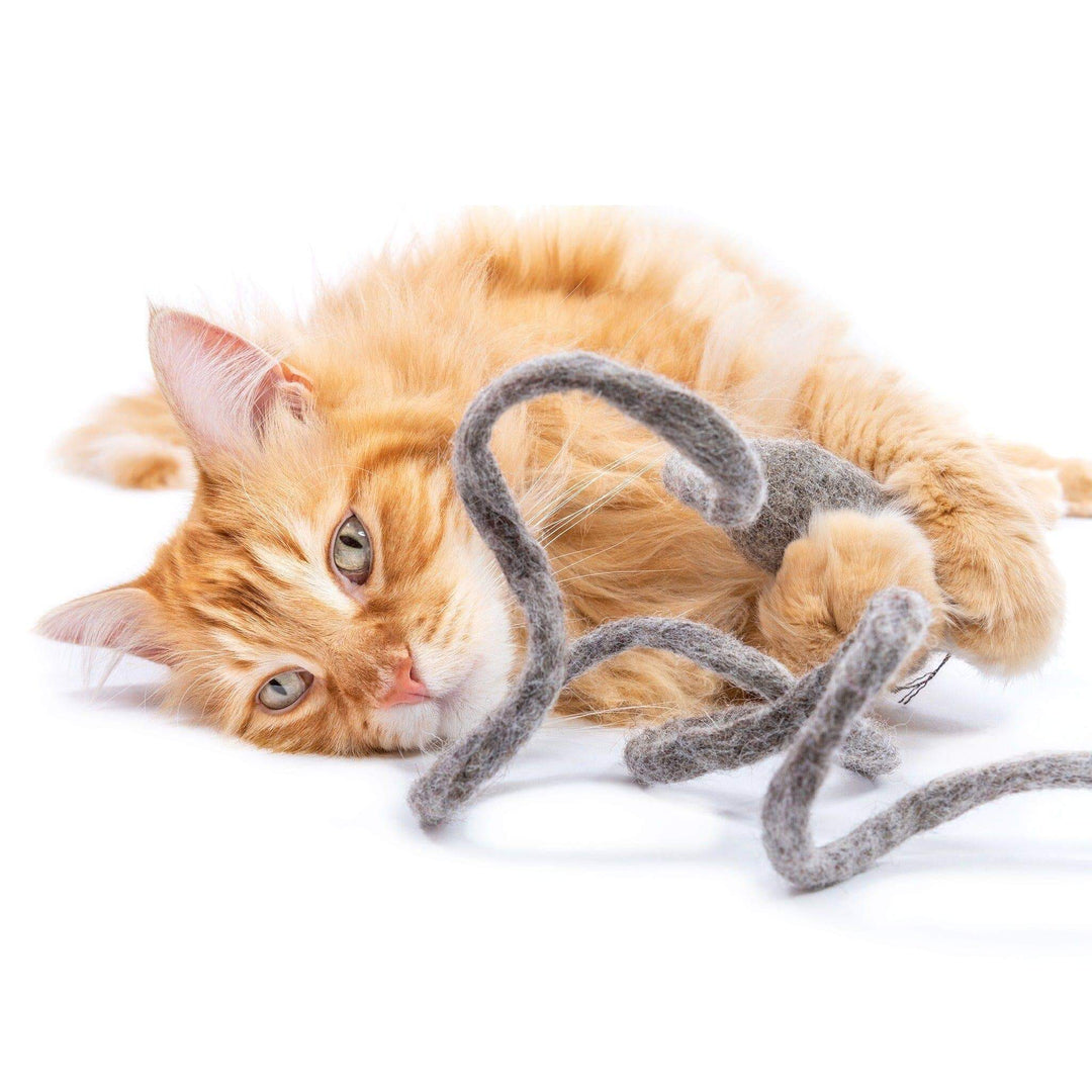 Orange cat playing with a grey felt tail toy, showcasing the fun and engagement of Monte the Mouse cat toy.