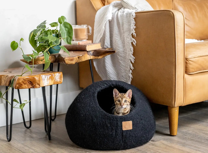 Cat lounging in a black felted wool cave bed near a cozy living room setup with plants and a leather sofa.