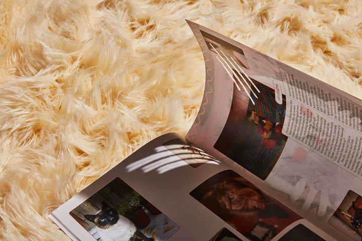 Open Catnip Magazine on a fluffy rug, showcasing cat culture through vibrant images and captivating stories.