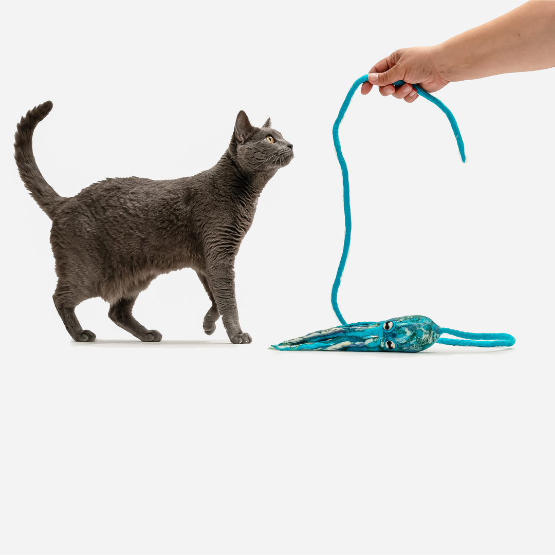 Wool Octopus Cat Toy with 4-Foot Tether
