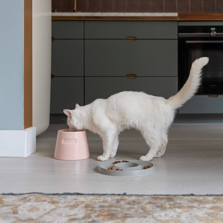 luxury cat bowls