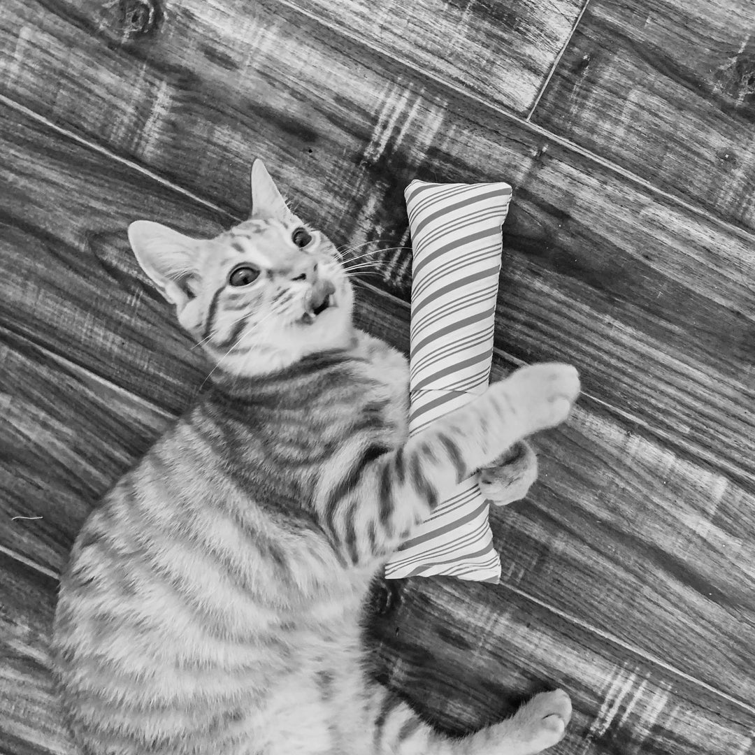 Granny Gertrude Organic Catnip Cat Kicker 