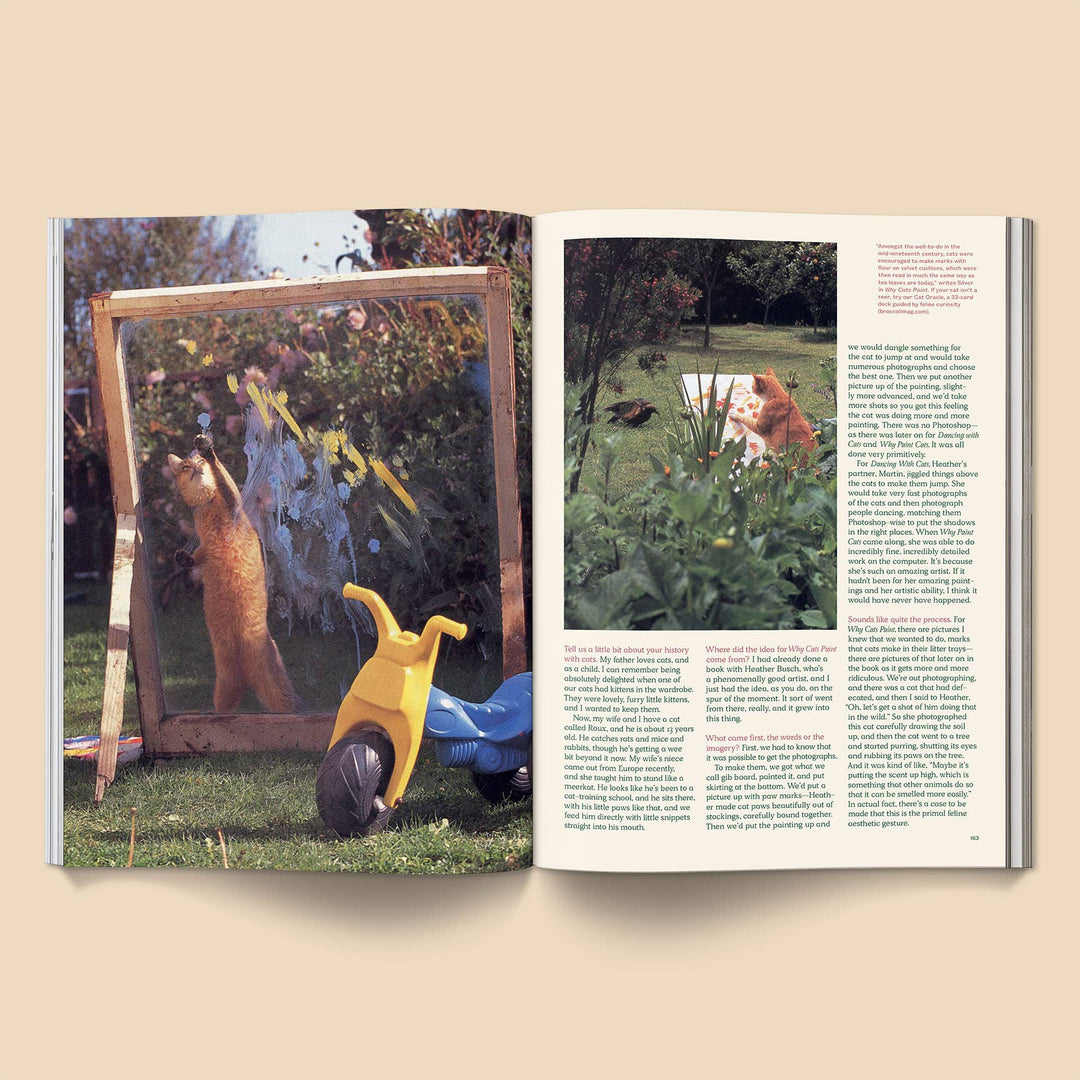 Catnip Magazine: Volume 2 featuring playful cats and engaging stories in a colorful garden setting.