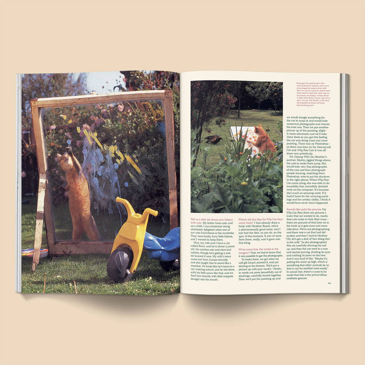 Catnip Magazine: Volume 2 featuring playful cats and engaging stories in a colorful garden setting.