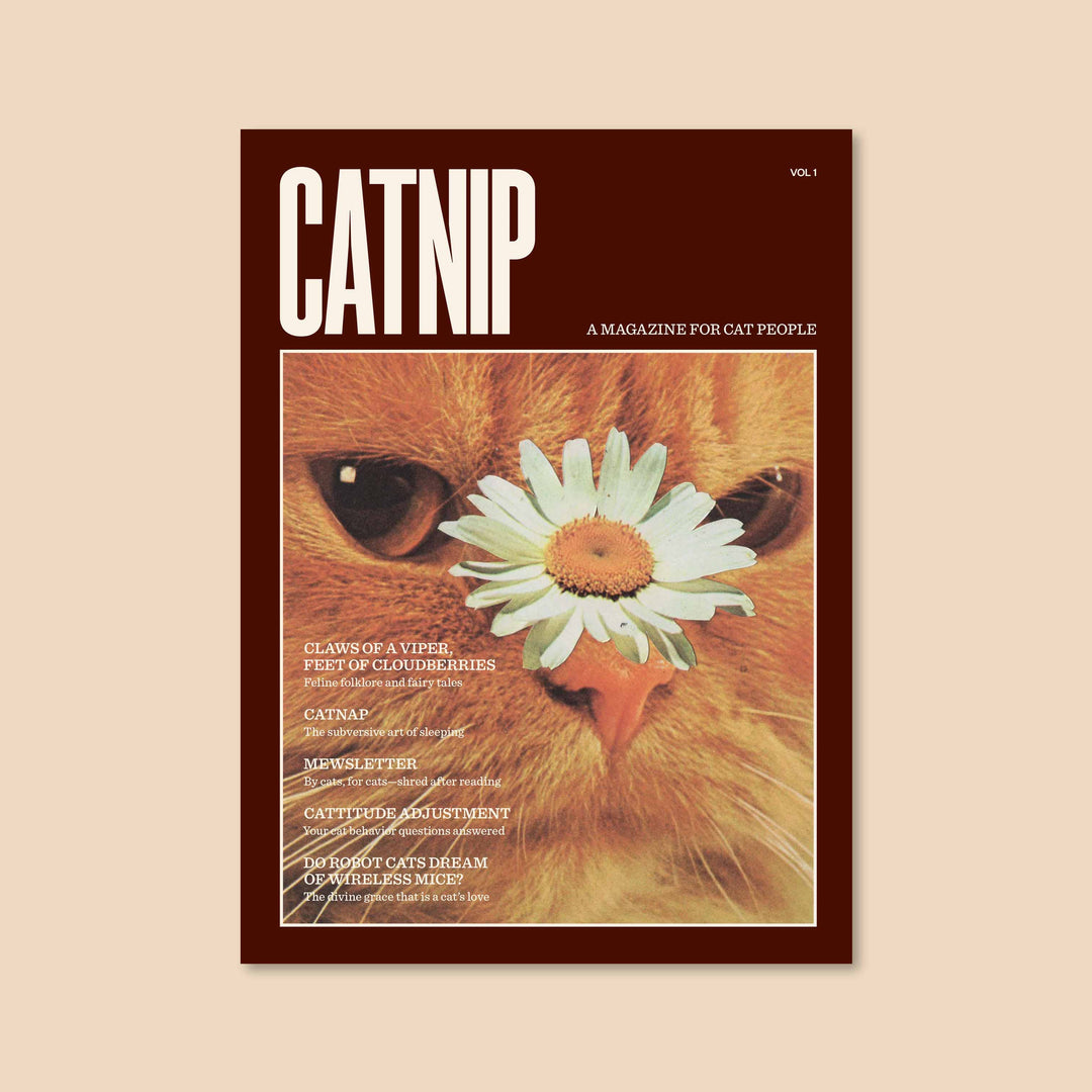 Cover of Catnip Magazine featuring close-up of a cat's face with a daisy on its nose, a magazine for cat lovers.