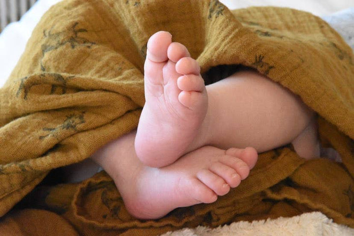 Close-up of baby feet wrapped in a stylish cumin cat print swaddle blanket, showcasing the soft cotton texture.