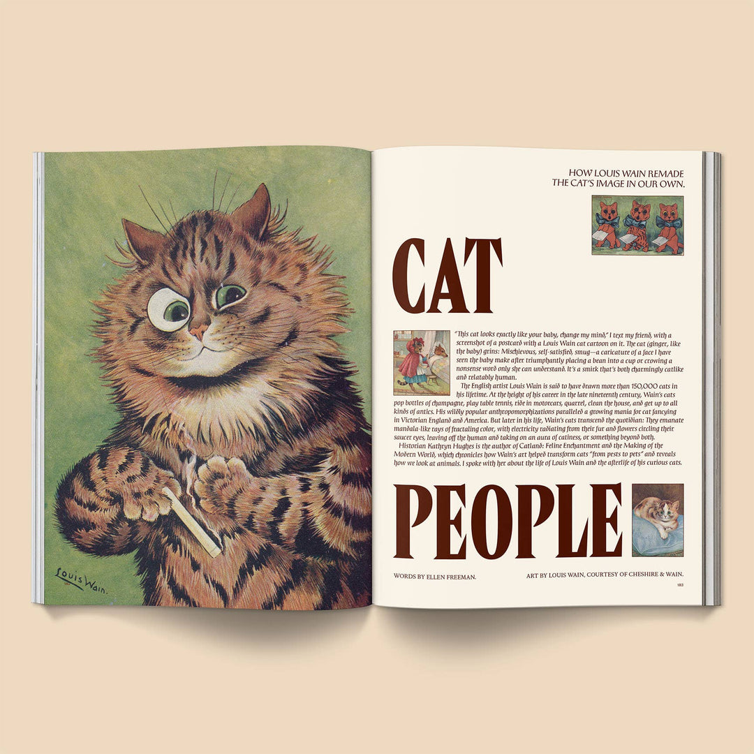 Inside page of Catnip Magazine: Volume 2 featuring illustration and story about cat people.