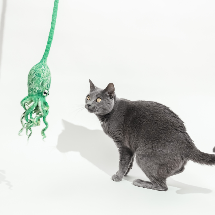 Wool Octopus Cat Toy with 4-Foot Tether