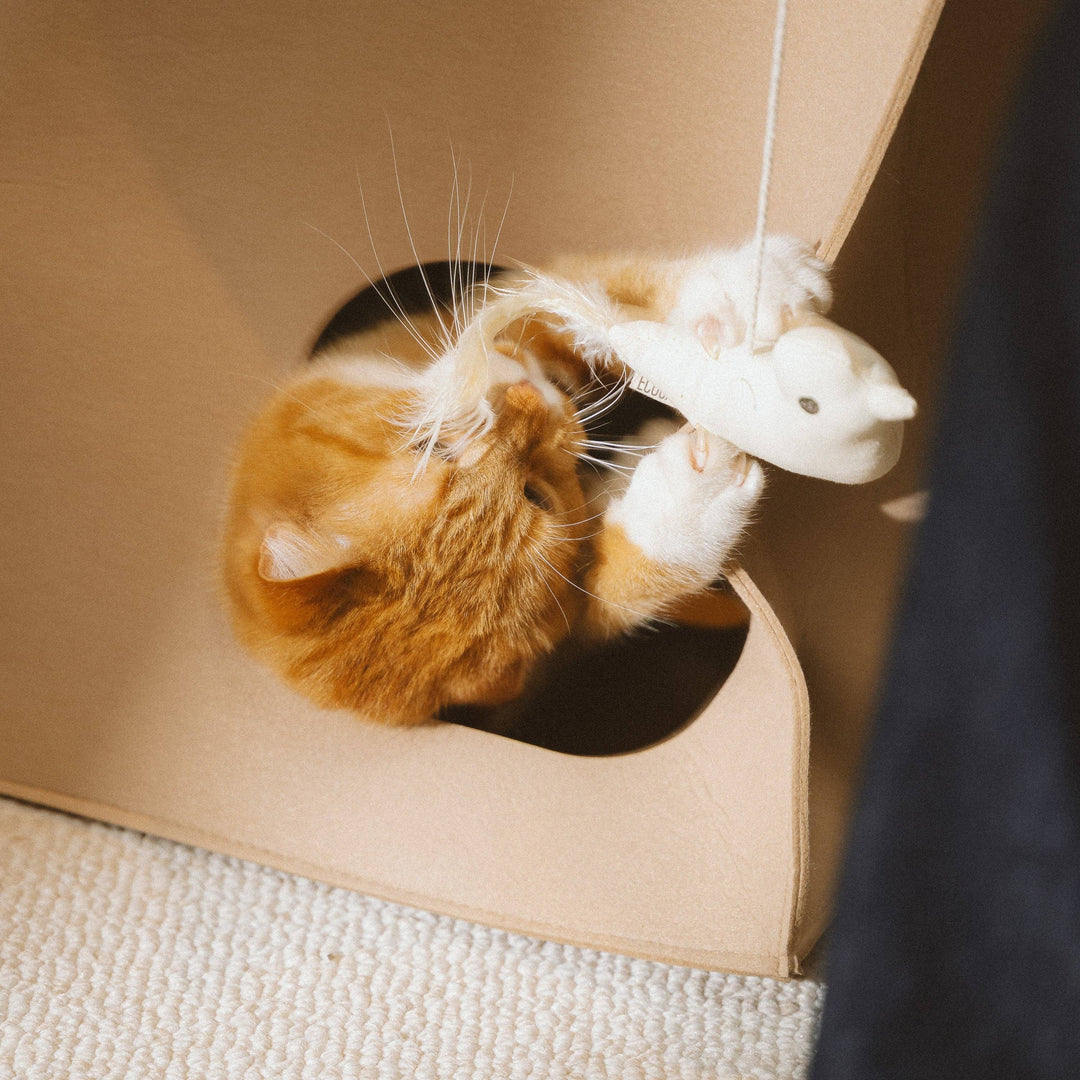 Birdie Cat Toy