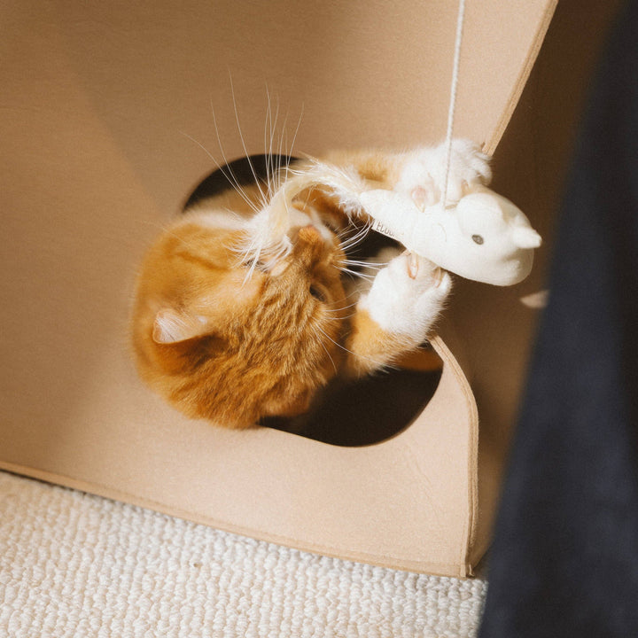 Birdie Cat Toy