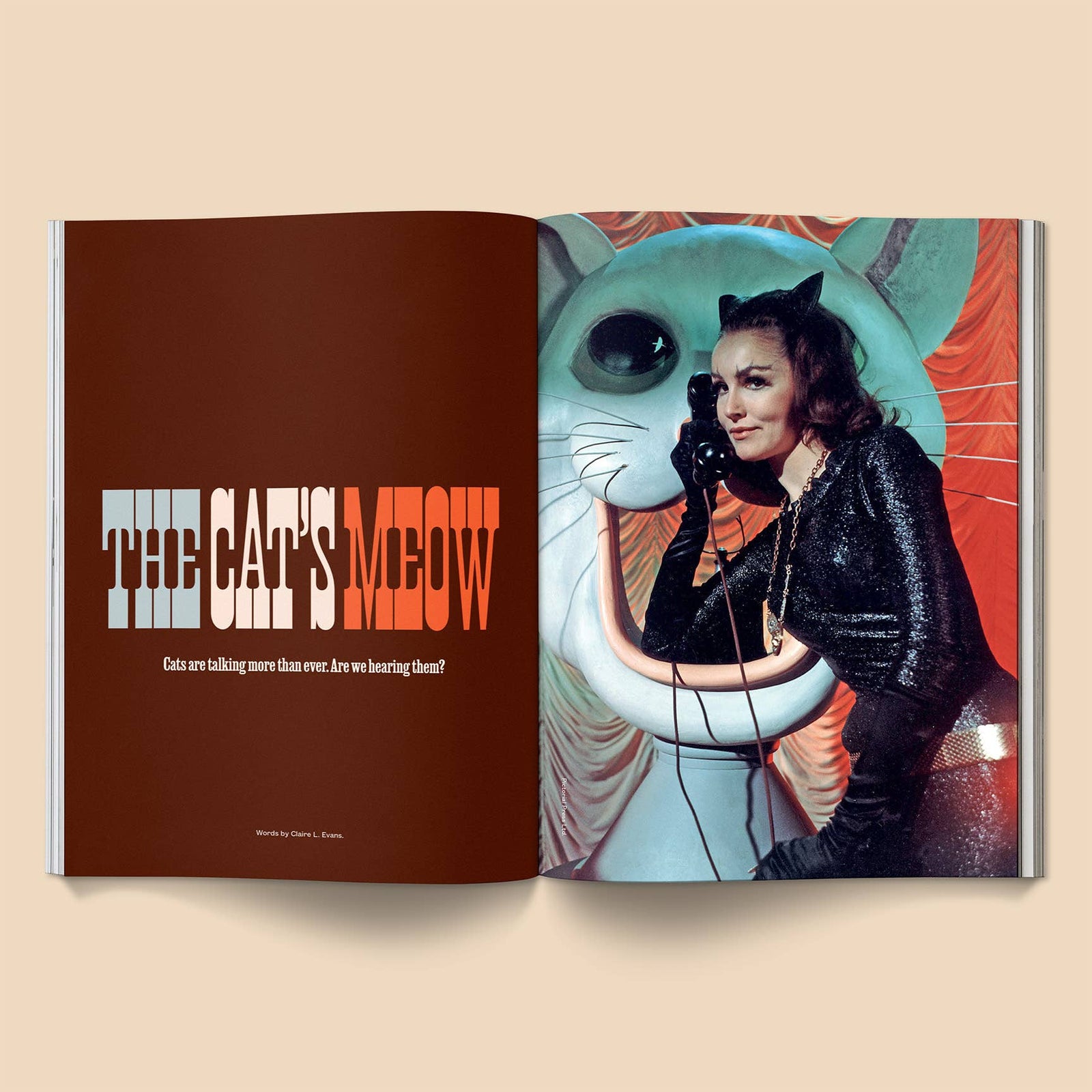 Catnip Magazine: Volume 2 featuring model with cat-themed art and striking visuals.