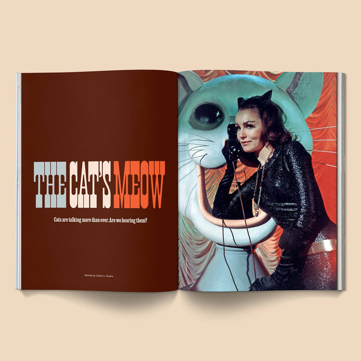Catnip Magazine: Volume 2 featuring model with cat-themed art and striking visuals.