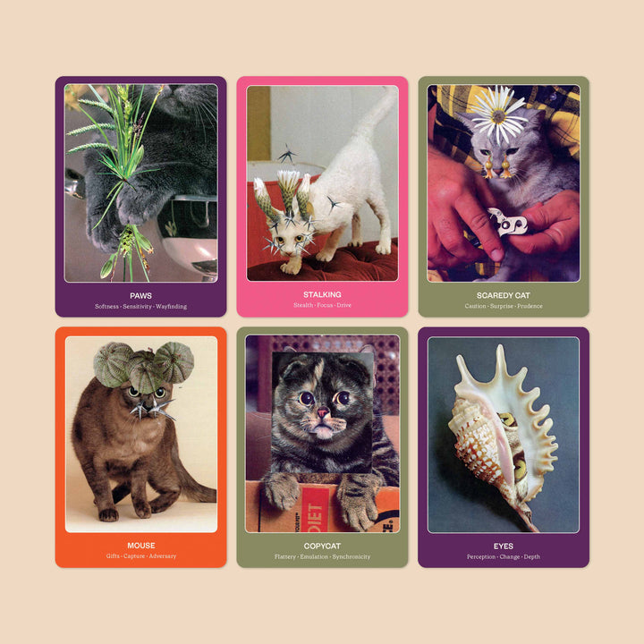 Colorful cards from The Cat Oracle featuring playful cats and whimsical artwork, part of an animal oracle cards set.