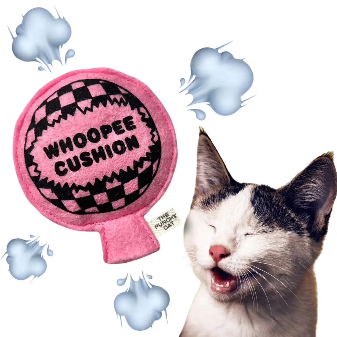 Funny pink Catnip Whoopee Cushion toy with a laughing cat, perfect for playful pranks and unique cat enjoyment.