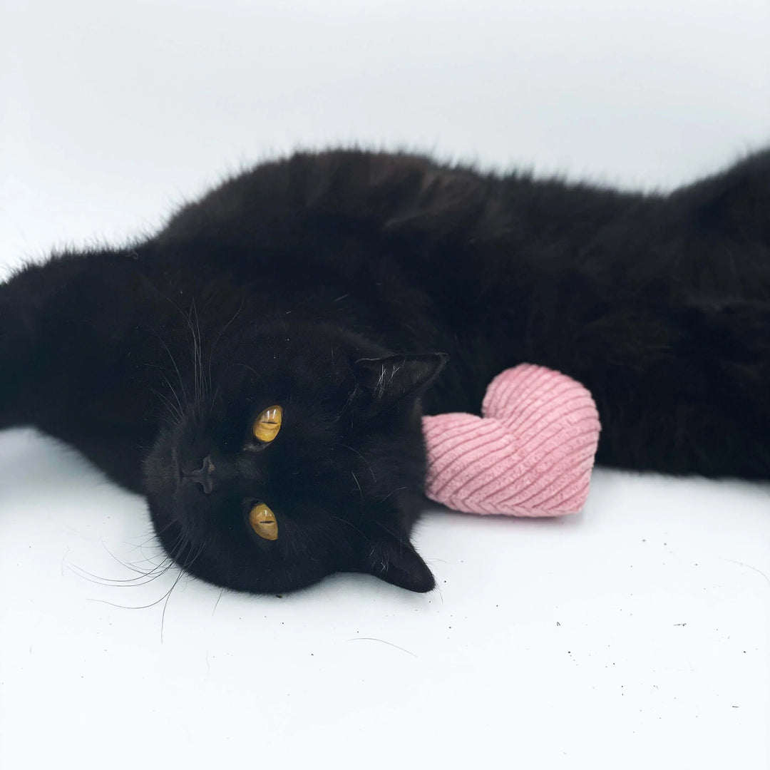 Handmade catnip heart