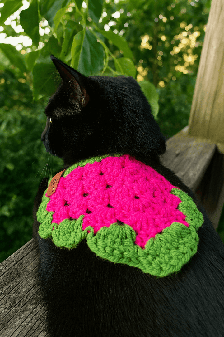 Handcrafted crochet cat bandana in watermelon design, comfortably worn by a black cat outdoors.