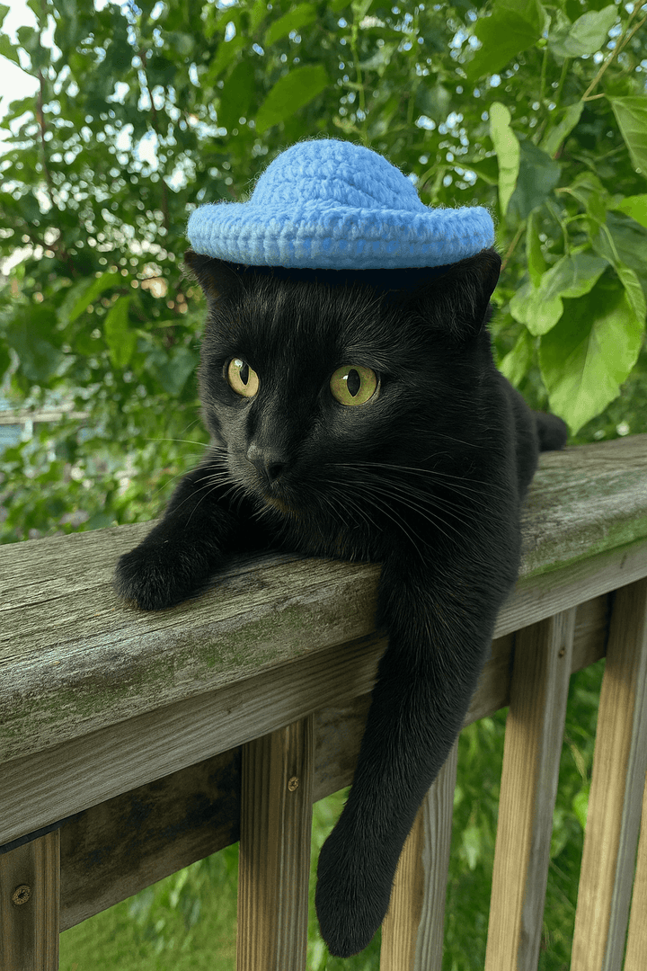 Black cat wearing a handmade blue crocheted cowboy hat on a wooden railing surrounded by green foliage.