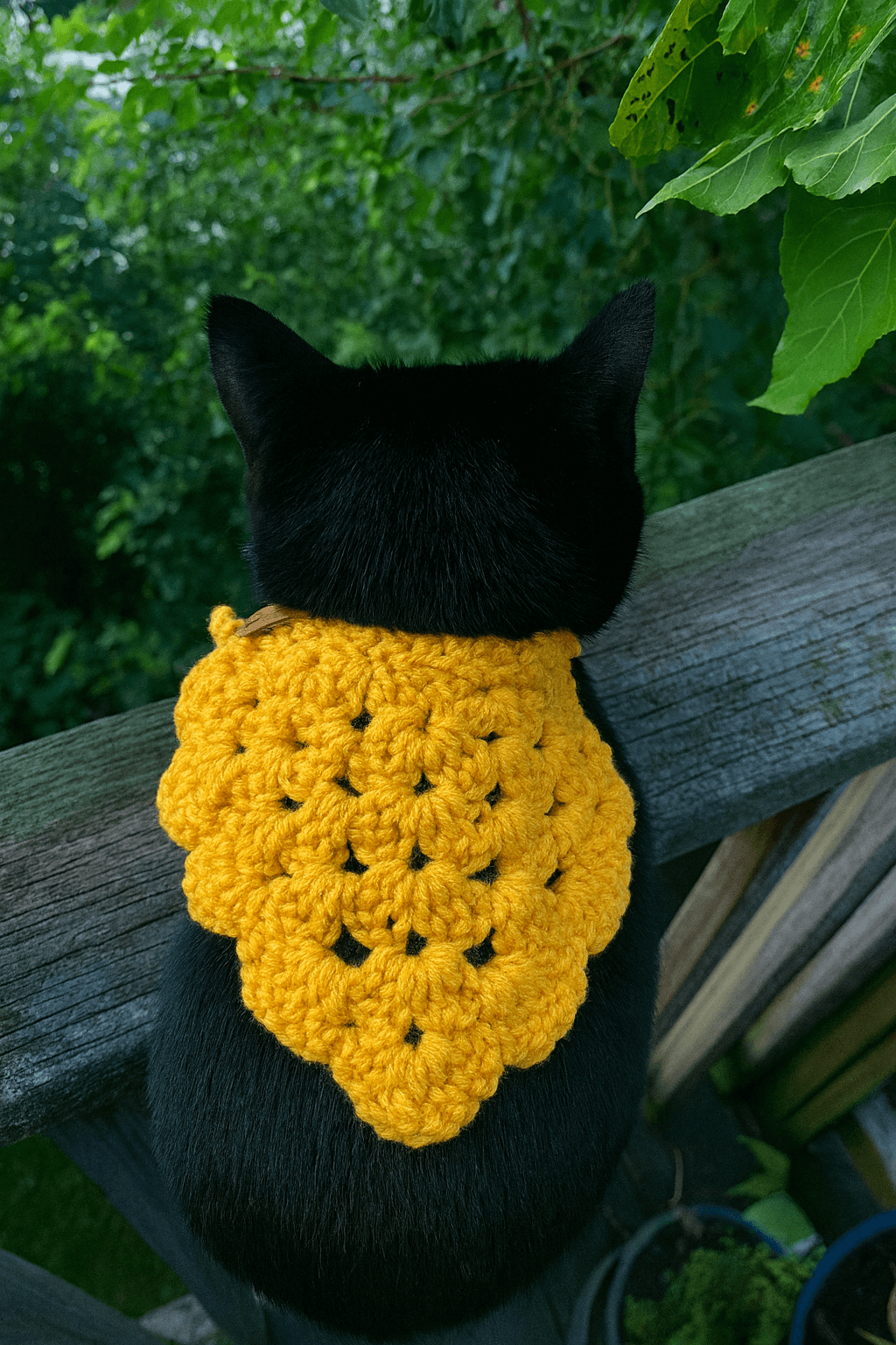 Handcrafted yellow crocheted bandana worn by a black cat, showcasing unique design and comfort.