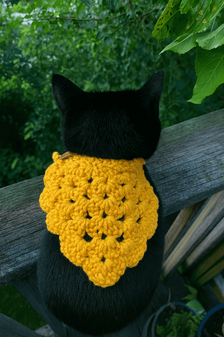 Handcrafted yellow crocheted bandana worn by a black cat, showcasing unique design and comfort.