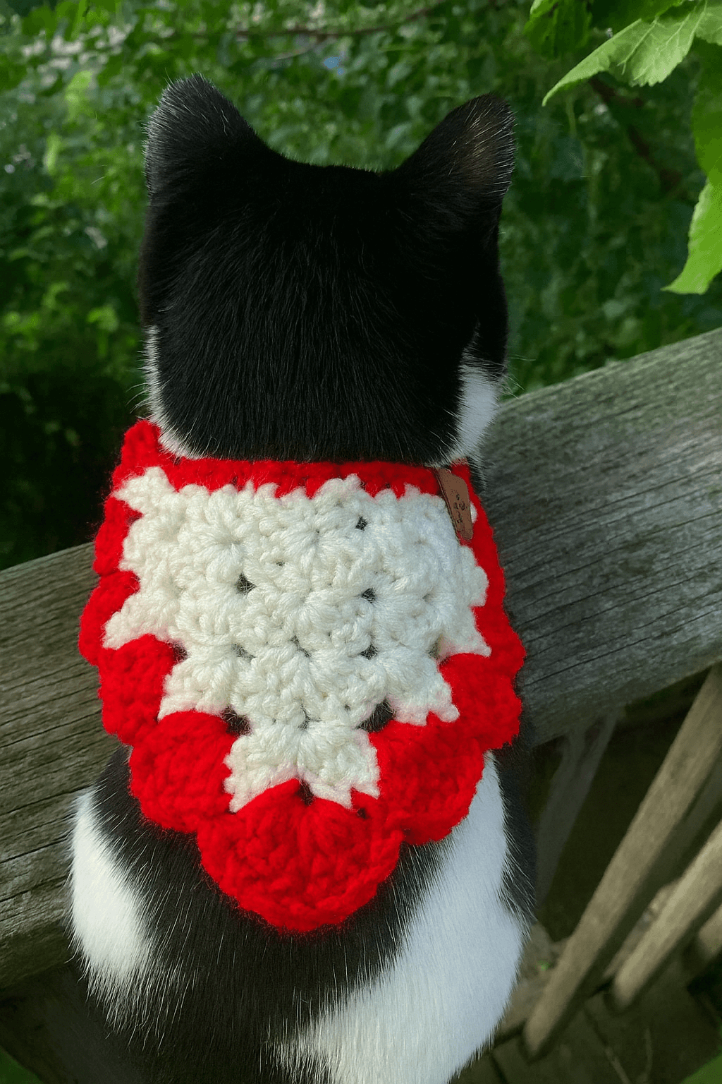 Black and white cat wearing a handmade red and white crocheted bandana on a wooden railing outdoors.