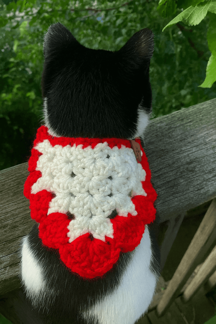Black and white cat wearing a handmade red and white crocheted bandana on a wooden railing outdoors.