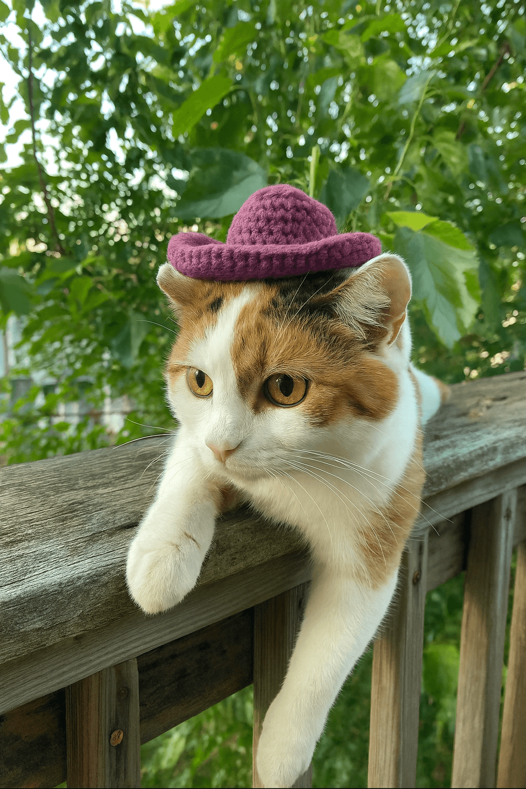 Adorable cat wearing a handmade crocheted purple cowboy hat on a wooden railing surrounded by greenery.