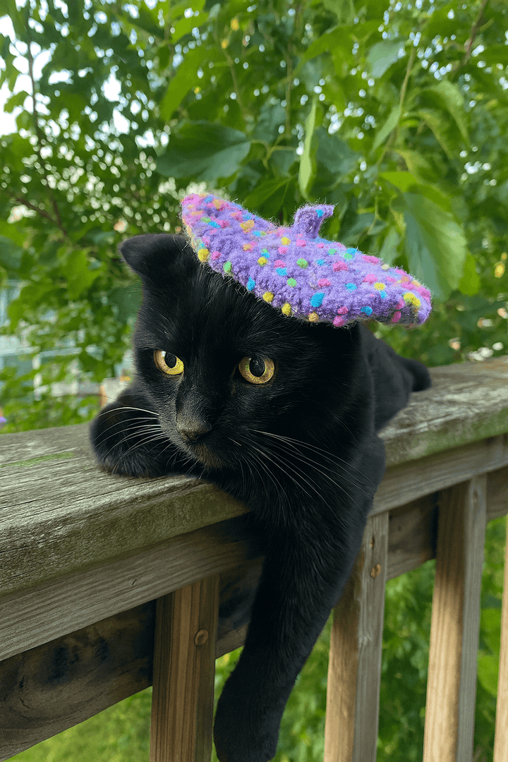 Black cat wearing a colorful crocheted beret hat, resting on a wooden railing with greenery in the background.