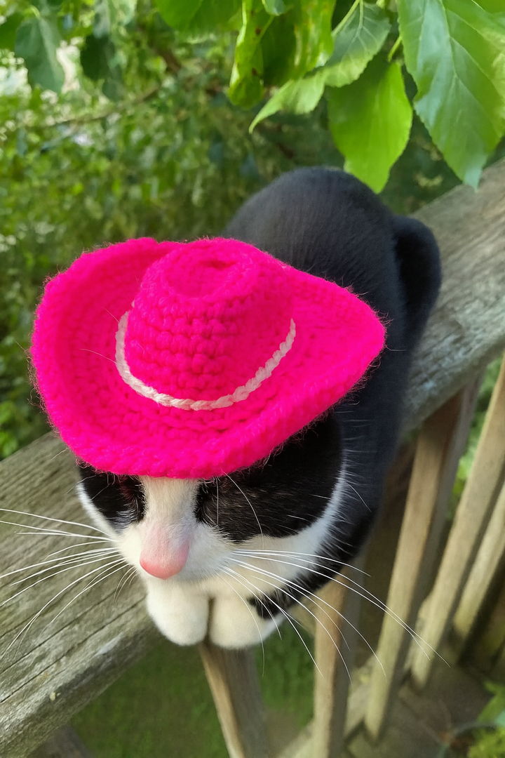 Crochet Cat Cowboy Hat