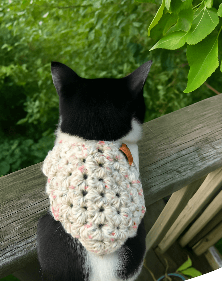 Handmade cat bandana crochet attached to a black and white cat's collar, displayed outdoors.