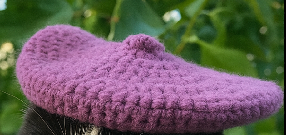 Crochet Cat Beret