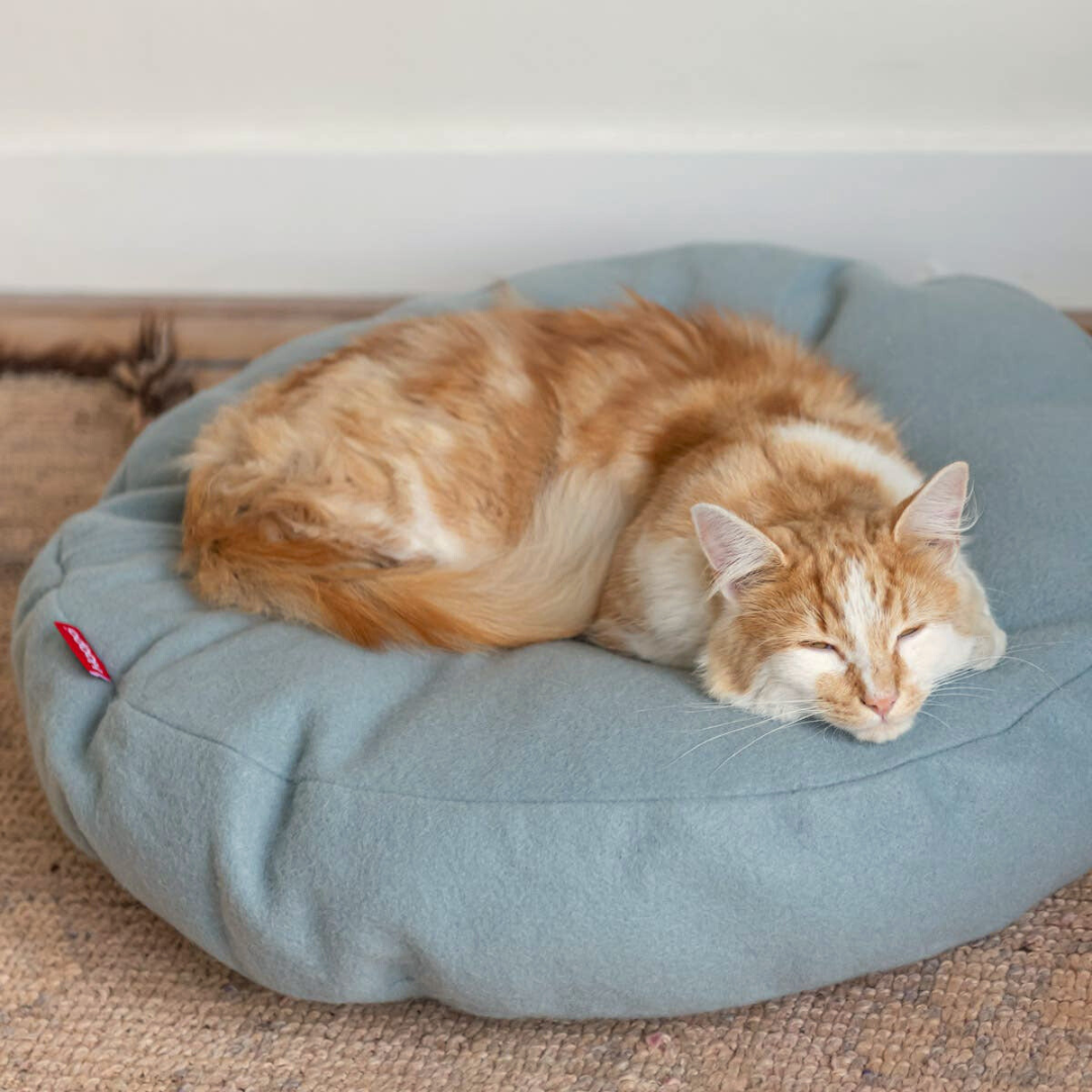 Ginger cat sleeping on grey-blue Donut Cat Bed, showcasing its softness and perfect blend into home interior decor.