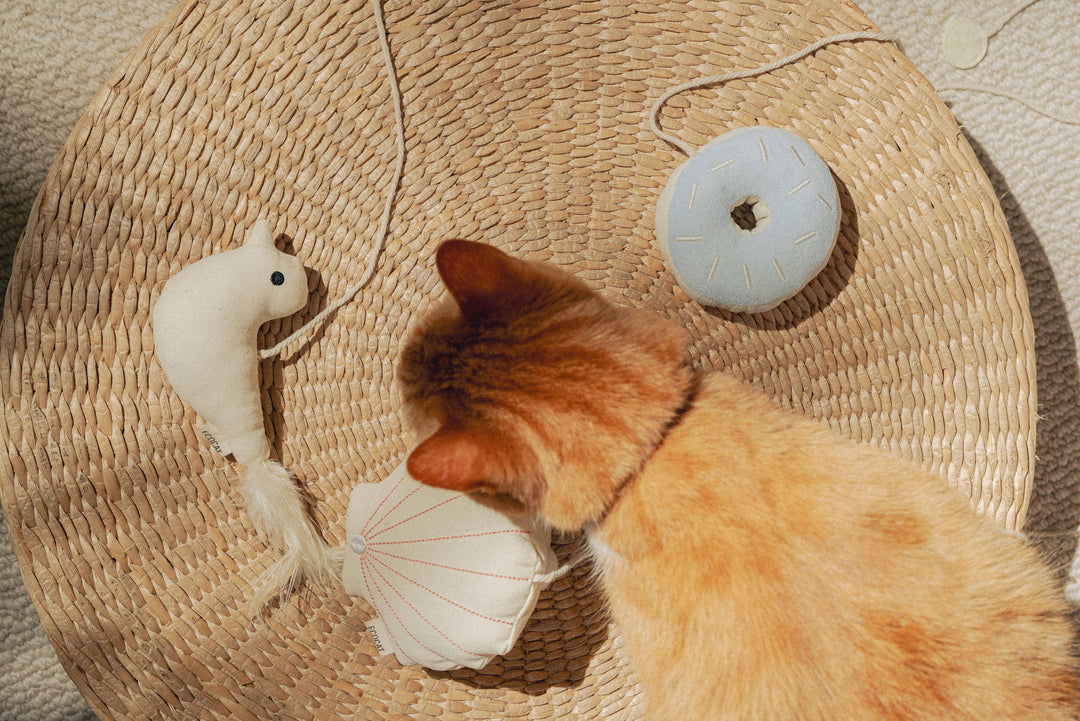 Aesthetic Cat Donut Toy
