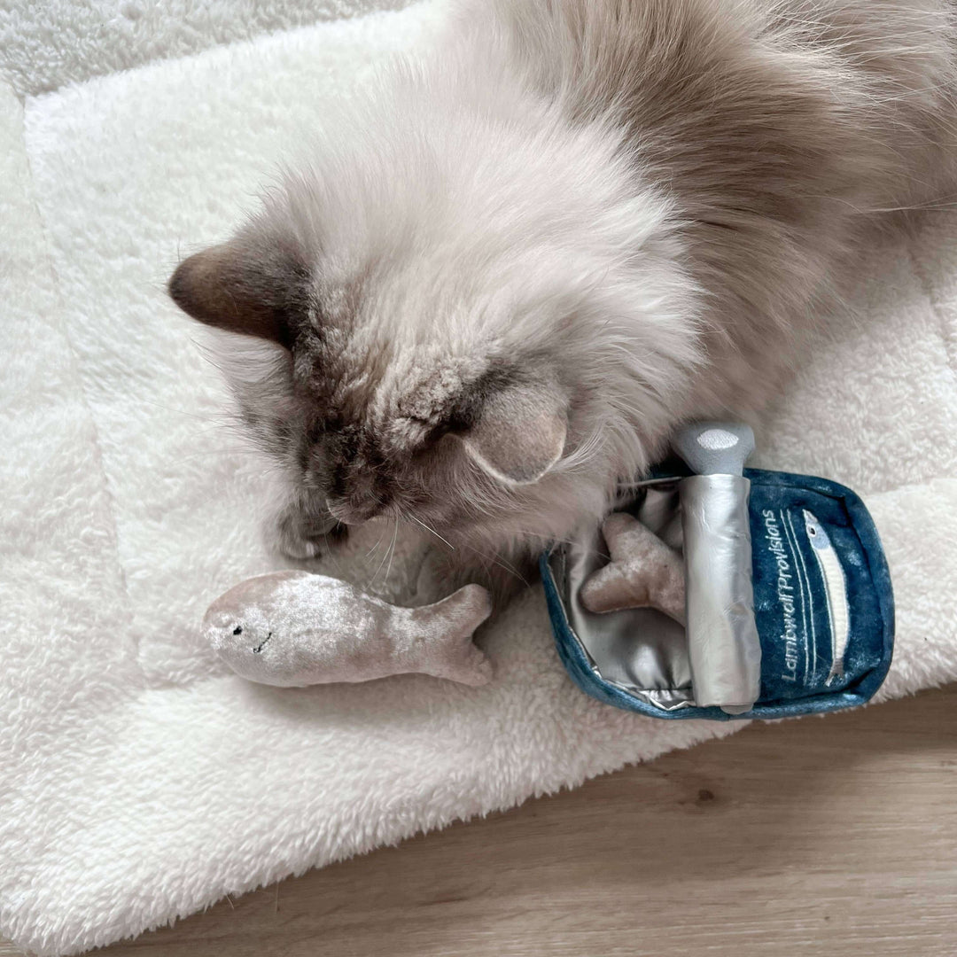 KITTY SARDINES